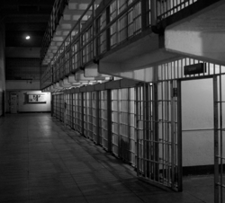 Photo by Emiliano Bar on Unsplash