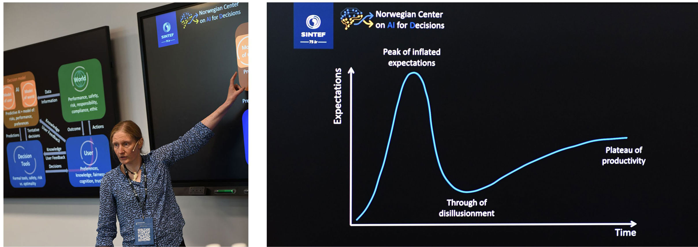 Collage of Signe Riemer-Sørensen and a slide