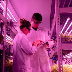 lab_pexels_thisisenginering