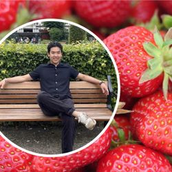 Picture of Erik Tien Huynh and close-up picture of strawberries. Photo: private & Pexels/David Boozer