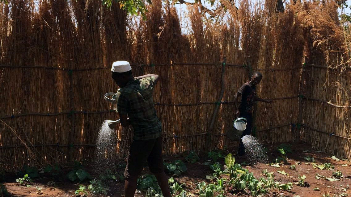 One of UNICEF's tasks is to teach people to grow their own food.