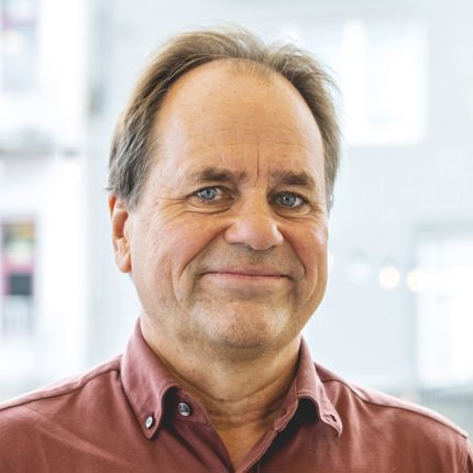 Professor Bertil Tungodden.