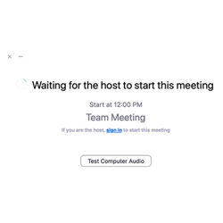 Zoom meeting screen shot. Illustration