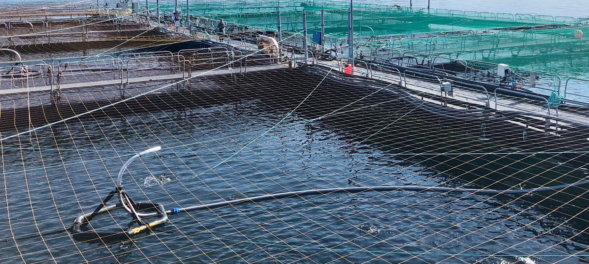 Fish farming facility. Photo: Ove Sjøstrøm