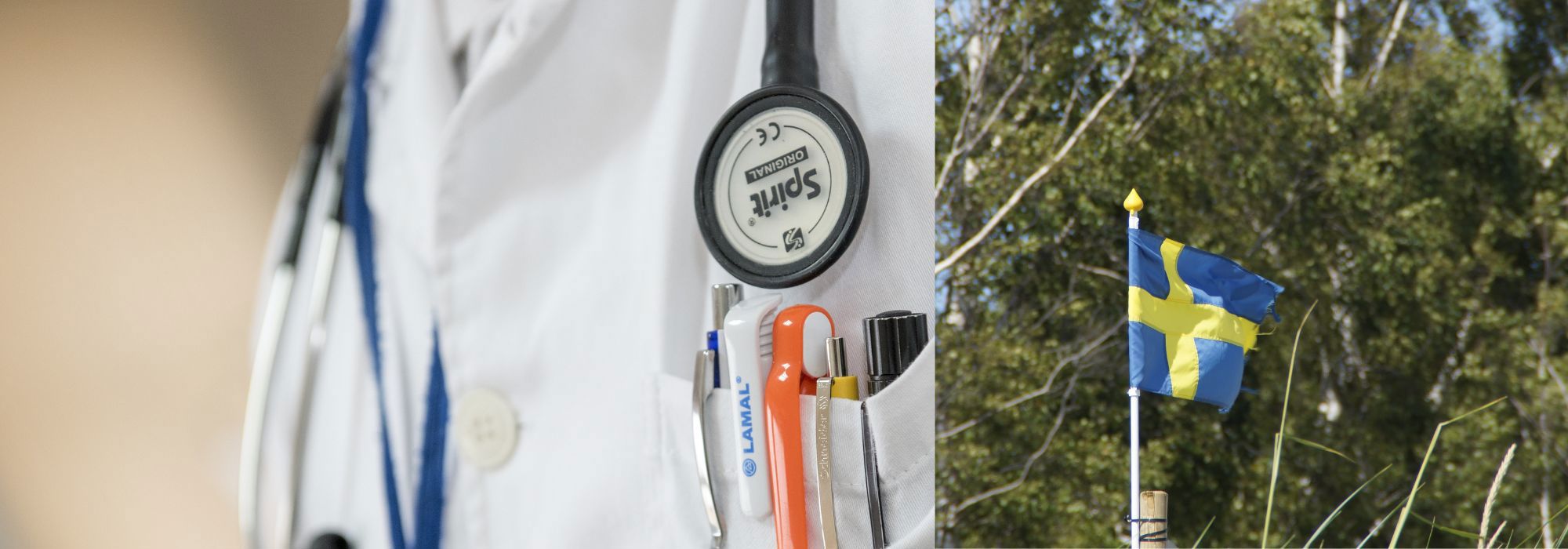 lege_svensk flagg_pxhere