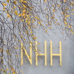 NHH. Illustrasjonsfoto: Hallvard Lyssand