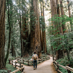 Photo by Caleb Jones