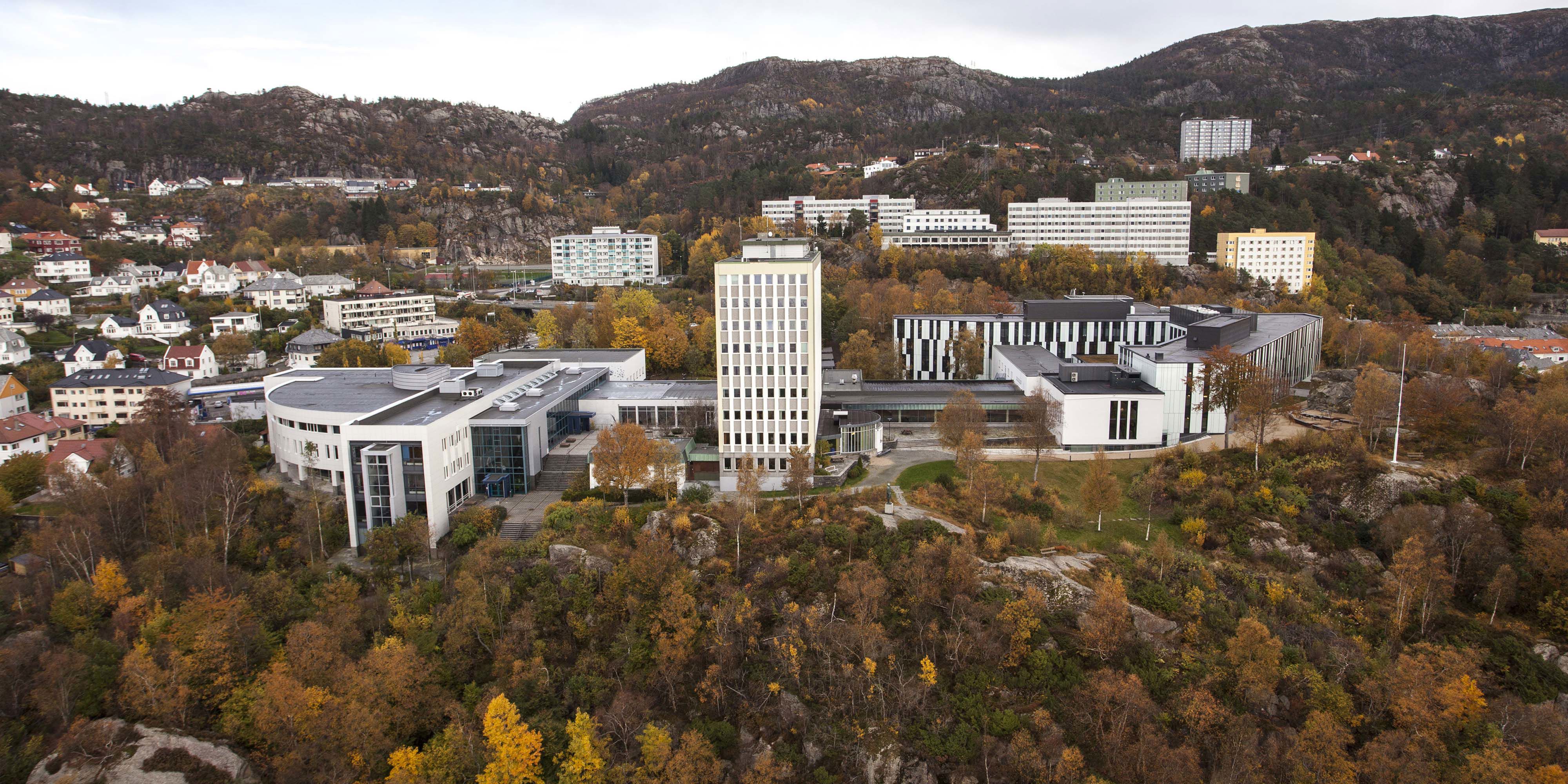 NHH fra vest Foto: Varde Media