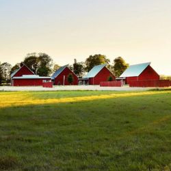 photo_pexels (Jonathan Petersson)