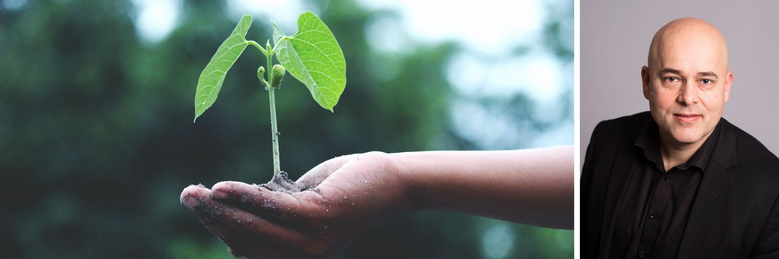 Bilde av plante som spirer og Magne Supphellen. Foto: Pexels v. Akil Mazumder /Marit Hommedal