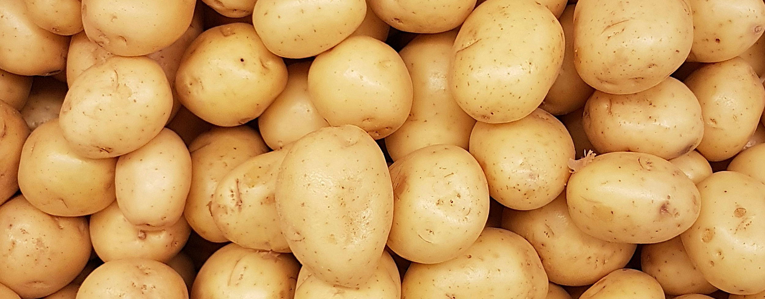 Potatoes. Photo: Rodrigo Dos Reis/Unsplash.com