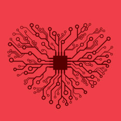 Front cover of the book, Copyright: Palgrave Macmillan