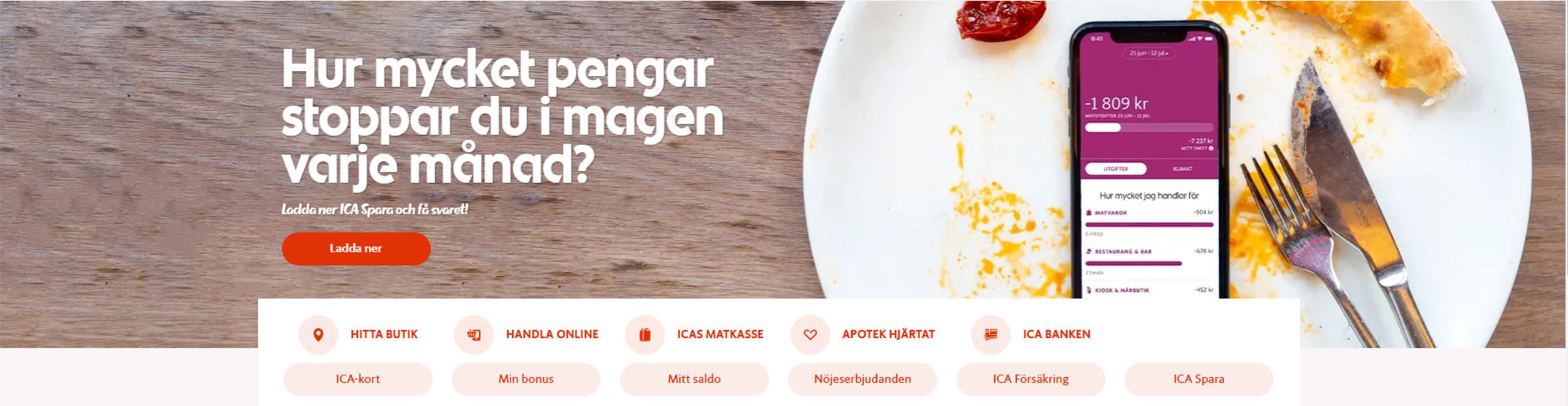 ICA Online. Screen shot illustration