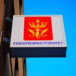 fiskeridirektoratet_wikimedia_ brage aronsen