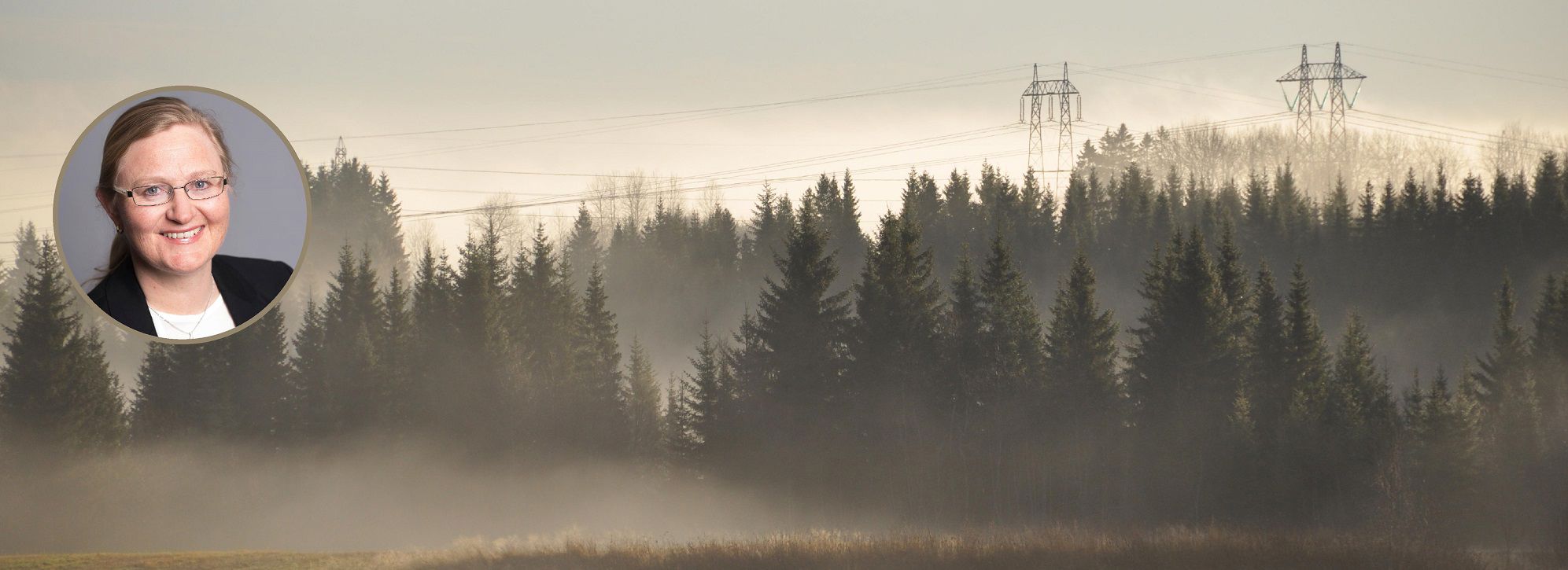 Ministry of Petroleum and Energy has appointed Mette Helen Bjørndal, Professor at the Department of Business and Management Science, as member of a new expert committee.
